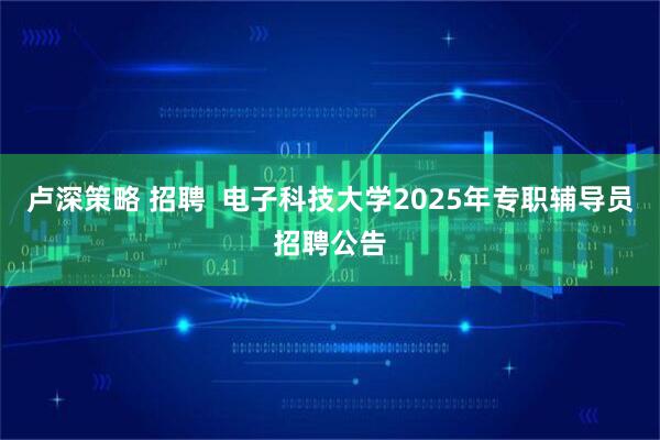 卢深策略 招聘  电子科技大学2025年专职辅导员招聘公告