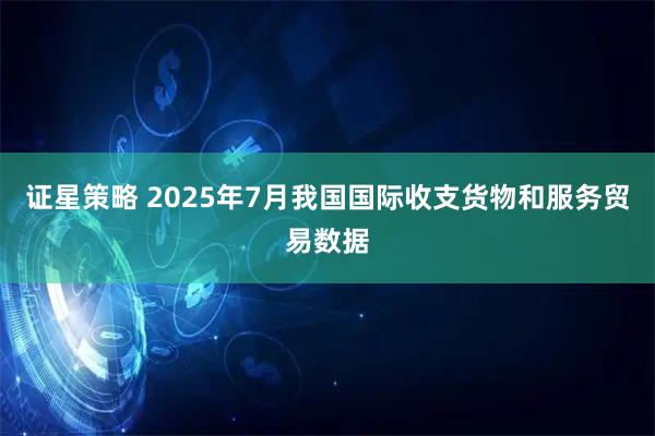 证星策略 2025年7月我国国际收支货物和服务贸易数据